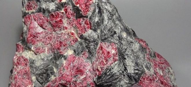 Эвдиалит – лопарский минерал